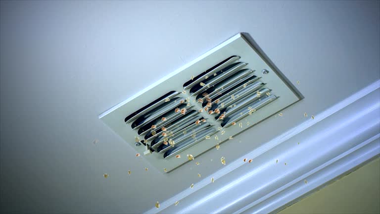 Best Residential Air Duct Cleaning  in Rochelle, GA