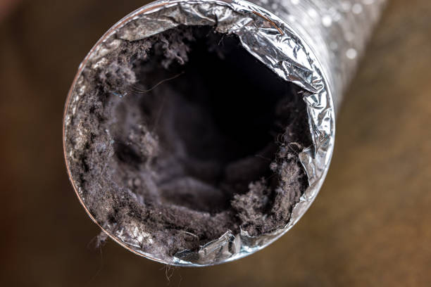 Best HVAC Air Duct Cleaning  in Rochelle, GA